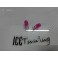 Lampadas Minimos / Matricula / interior T10 W5W 5w, Rosa CAN BUS